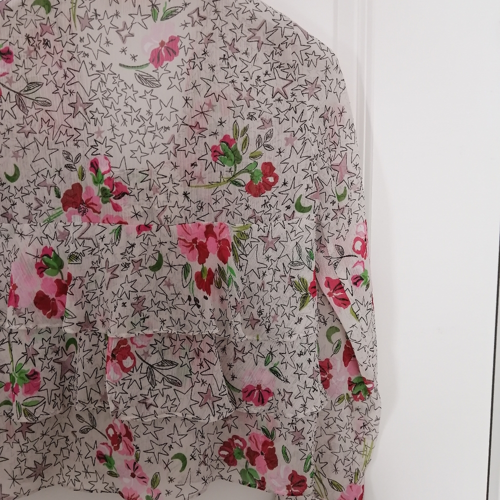 Zara Ruffled Sheer Blouse - Picture 7 of 8